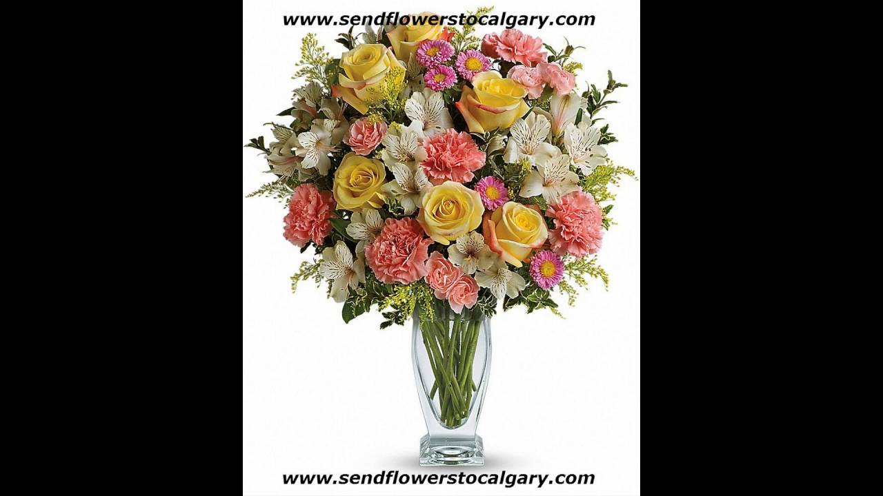 Send flowers from Paraguay to Calgary Alberta Canada YouTube