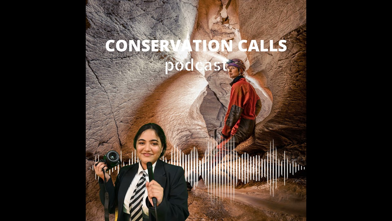 Echoes in the dark: Cave biodiversity battles