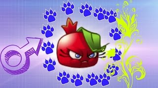 Plants Vs Zombies 2 Petagranada