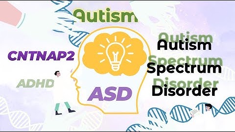 Decoding the Genes Behind Autism Spectrum Disorder｜CNTNAP2