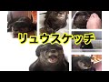 @りゅうスケッチ 昨日のパンチ Part1