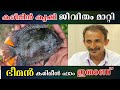 കരിമീൻ വളർത്തൽ സമ്പൂർണ്ണ വിവരണം | Karimeen Valarthal | Green Chromide | Karimeen Fish Farming Kerala