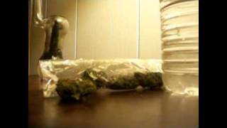 Cotton Candy Cannabis Dro Re-Review By Domino42o