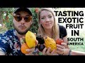 Tasting 13 Exotic Fruits You've Never Seen Before | South America