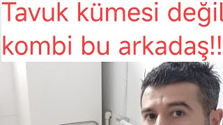 tavuk kümesi değil kombi bu arkadaş  !!!