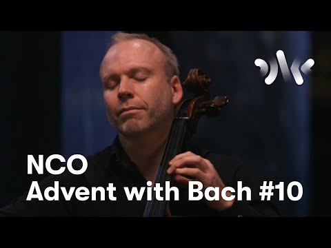 J. S. Bach: Cello Suite No. 1 in G Major, Sarabande // Audun Sandvik, cello
