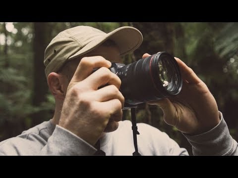 An Unlikely Union | David Pocock And His Passion For Photography And Conservation