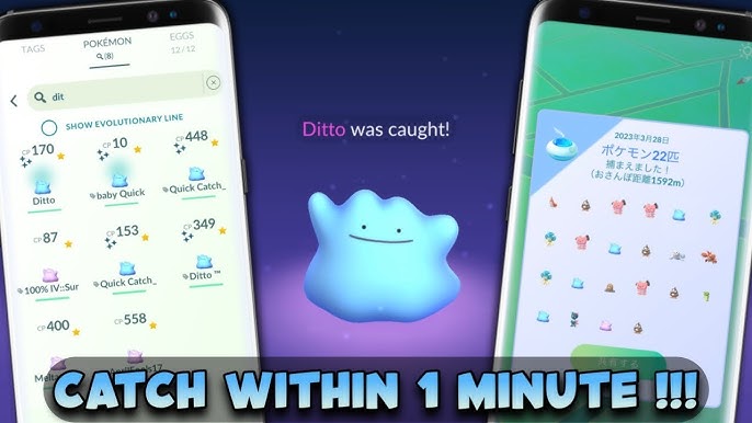 How to catch Ditto in PGSHARP easily ?