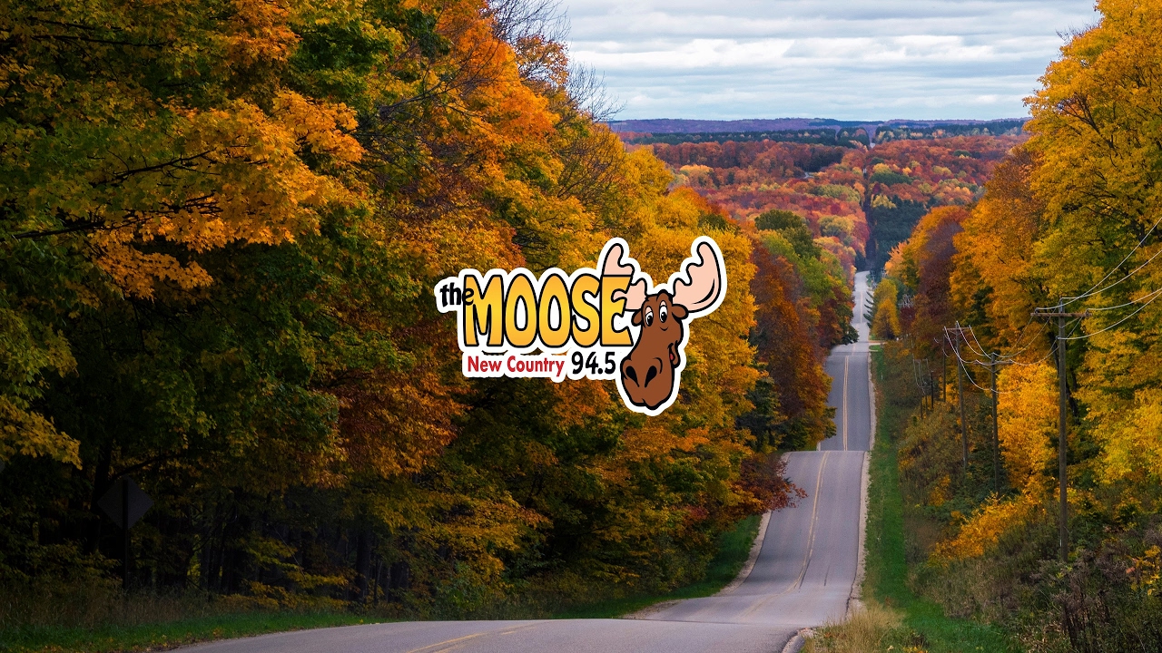 94 5 the moose live stream youtube