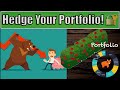 How to Hedge your Portfolio Against Risk: Long Put Option Strategy Guide