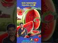ఐడెంటిఫై టేస్టు వాటర్ మిలన్#facts #shorts #shortsfeed #ytshorts