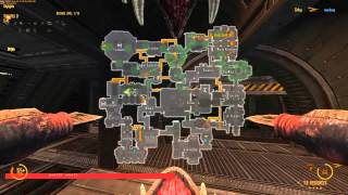 [NS2] Lerk play