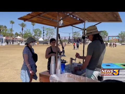 Coachella Music and Arts Festival vendor and festivalgoers share their experience with food