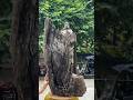 🪵🧘 The Sacred Buddha Within Nature #wood statue #buddha #statue #wood #wood craft #travel#vishu art