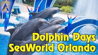 Dolphin Days Show Highlights At Seaworld Orlando