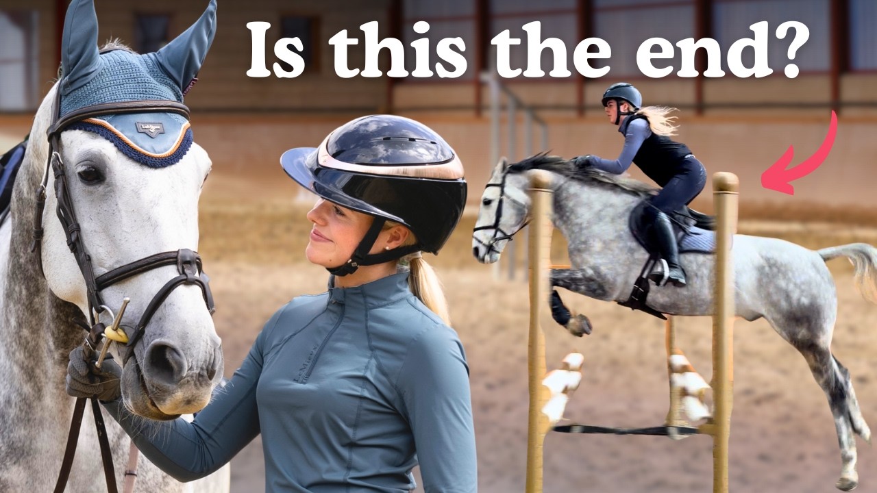 Сможем ли мы когда-нибудь снова прыгать? Обожаю эту лошадь.