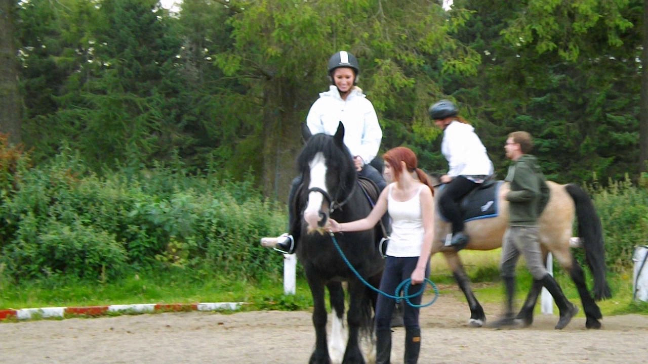 Aberdeen Horse Riding YouTube