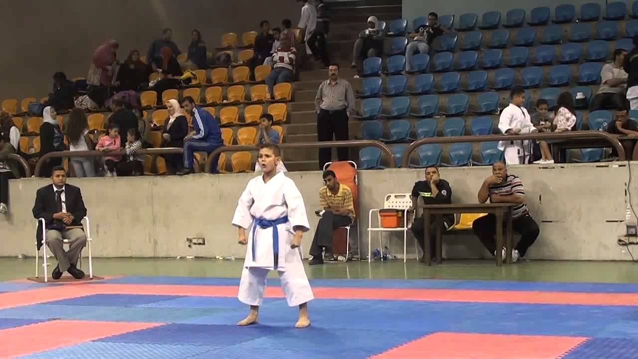 نهائي كاتا فردي بنين