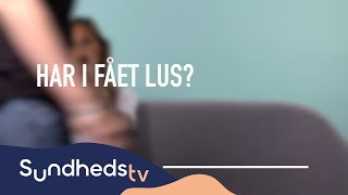 Hvordan Fjerner Man Lus? Sundhedstv