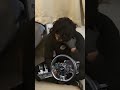 Disperration🤣🤣 #viral #shorts #funny #gamingsetup
