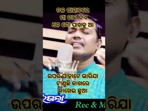 ତଳ ପାହାଚରେ ମା ଡାକ ଦିଏ #kisaheigala #sricharanmohantybhajanhits #musictodayodia #trending #viralshort