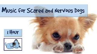 Music to Calm Scared or Nervous Dogs - Perfect for Thunderstorms! Relaxing Music for Dogs.