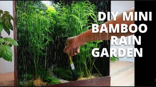 making a bamboo rain garden|  rainfall paludarium | terrarium