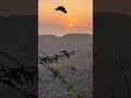 SUNRISE 🌅 #jaipur #sunrise #SUNRISEJAIPUR #rajsthan #photography #sunrisephotography