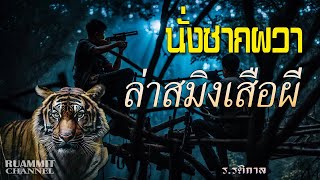 เรื่องลี้ลับ EP56 นั่งซากผวา ล่าสมิงเสือผี