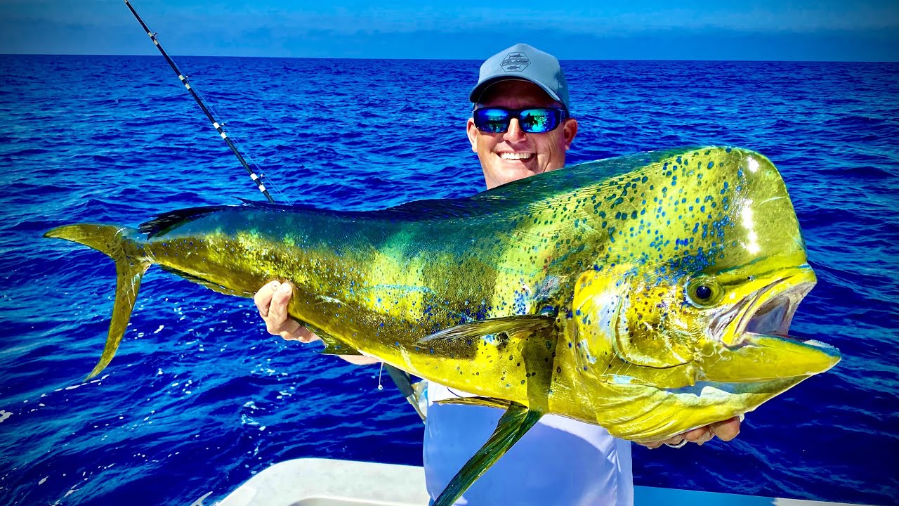 Deep Sea Fishing in Guatemala!!! {Teaser fishing for MASSIVE Mahi