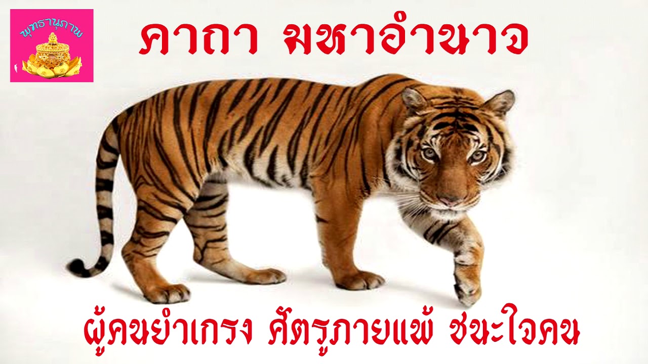 คาถานะจังงัง  2022 New  คาถา มหาอำนาจ - ผู้คนยำเกรงศัตรูพ่ายแพ้