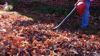 best leaf blower sound ralax 1 hours  1080p screenshot 5