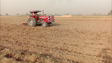 MF 385 With 7 Tine Chisel Cultivator Very Powerful Performance || MR AJ VLOGS