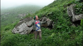 FIELD TRIP WITH PATRICK BLANC IN PERU - LA COSTA & LA MERCED