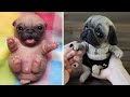 Funniest and Cutest Pug Dog Videos Compilation 2020 #3 の動画、YouTube動画。