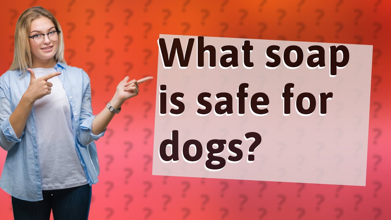 What soap is safe for dogs? YouTube