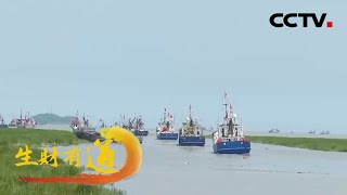 江苏连云港：电商助力渔业发展，临海而建依海生财「生财有道」生态中国沿海行 20221130 | CCTV财经