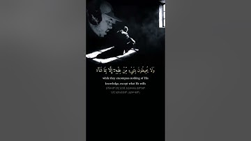 آية الكرسي القارئ حمزه بوديب
