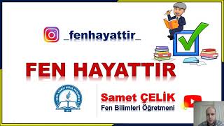 2021 LGS FEN BİLİMLERİ OCAK AYI ÖRNEK SORULAR ÇÖZÜMÜ (#fenhayattır)