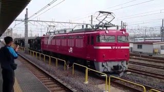 EF81-98牽引 ホキ3両 宇都宮配給 尾久駅発車