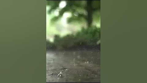 تلاوة خاشعة //بصوت القارئ الشيخ هزاع البلوشي |سورة السجدة | ارح سمعك😌🎧❤️🥀🌿