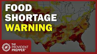 Celebrity 2026 Food Shortage Warning: Are You Ready? Here's Your Action Plan Wealth