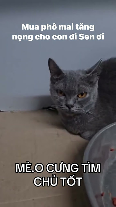 https://vt.tiktok.com/ZSSMD6SGQ/