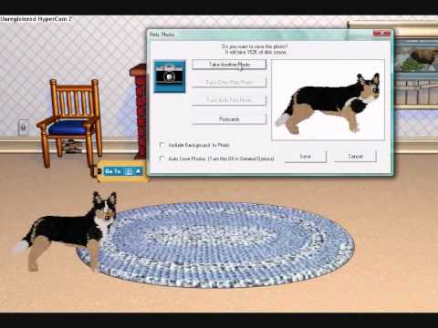 shelterdog.pet petz 4 file shelterdog.pet petz 4 file