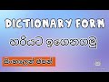Dictionary Form 辞書形 | learn japanese in sinhala