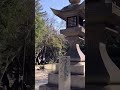 Mossy stone lanterns at sumiyoshi   shinto shrine osaka japan travel  benjabenji ytshort asmr