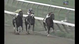 Saratoga - Travers Day 1996 - Full Race Card