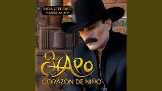 Mi Todo - El Chapo
