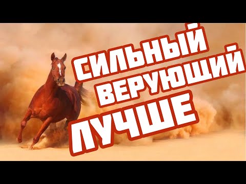 Сильный верующий лучше
