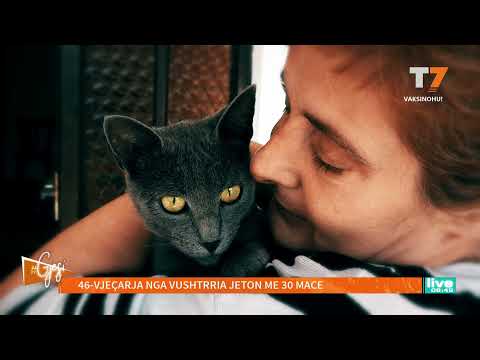 Video: Shërbime Të Rehabilitimit Veterinar Për Qen Dhe Mace